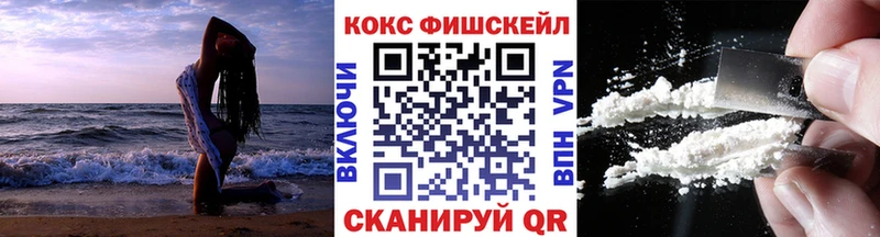 Cocaine FishScale  как найти наркотики  Козьмодемьянск 