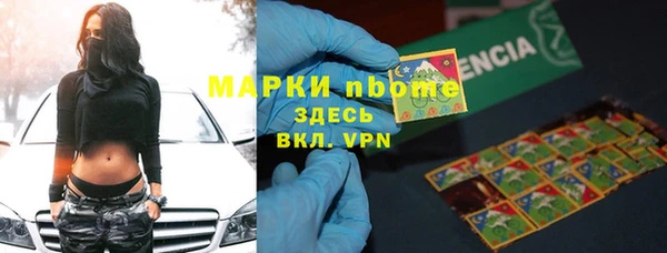 шишки Арсеньев