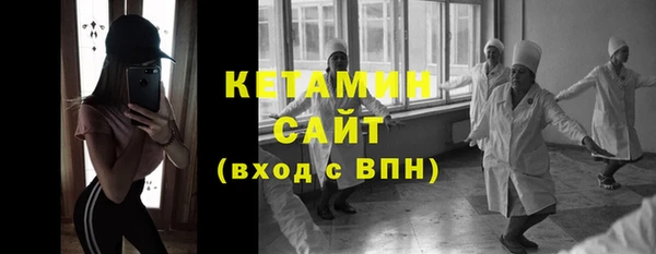 шишки Арсеньев