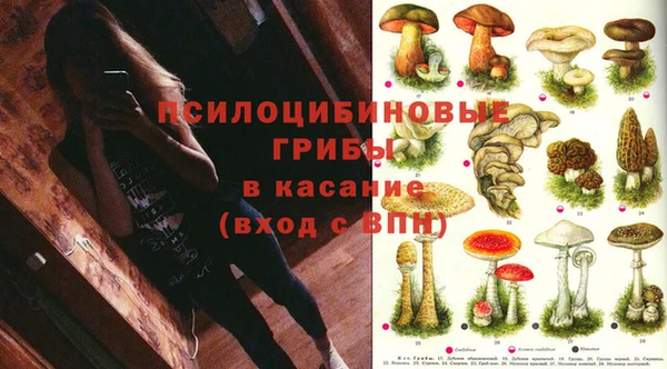 дурь Армянск