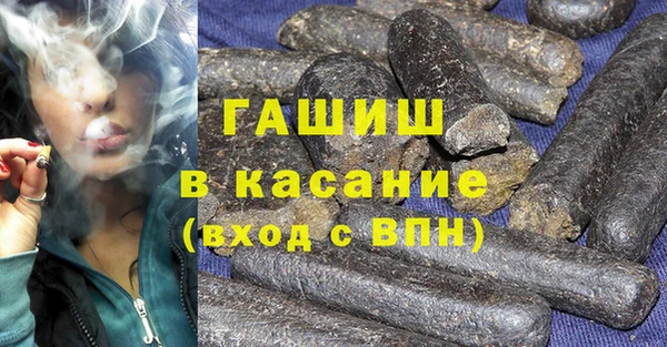 шишки Арсеньев