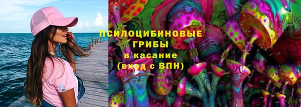 шишки Арсеньев