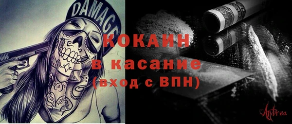 шишки Арсеньев