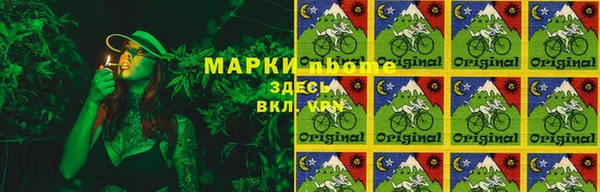 шишки Арсеньев