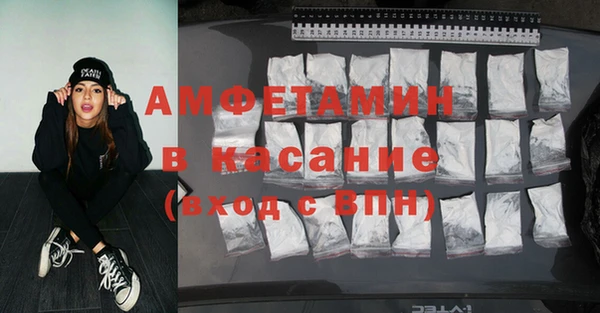 шишки Арсеньев