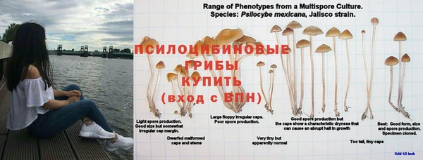 марихуана Аркадак