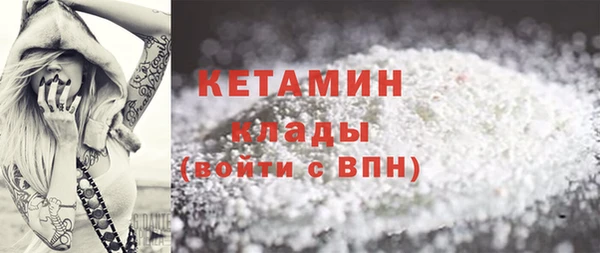 шишки Арсеньев